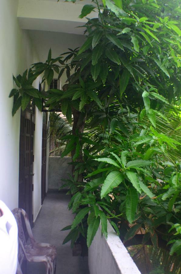 Steps Backpackers Hostel 콜롬보 외부 사진